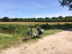 Afbeelding invoegen